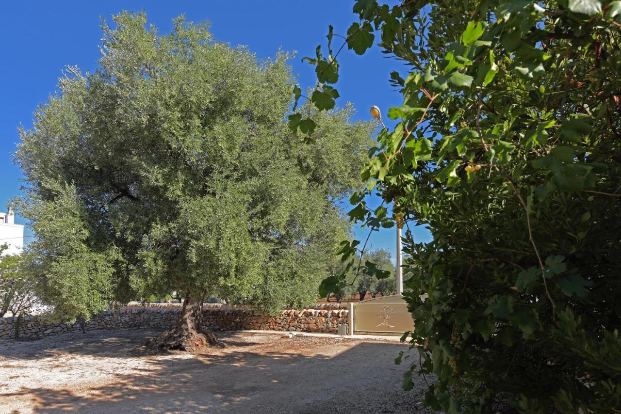 Dimora Torre Bianca Villa Ostuni Exterior foto