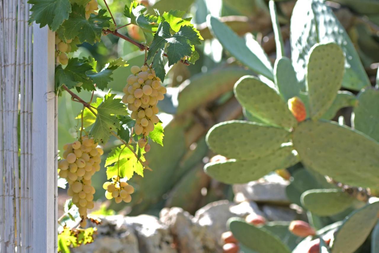 Dimora Torre Bianca Villa Ostuni Exterior foto